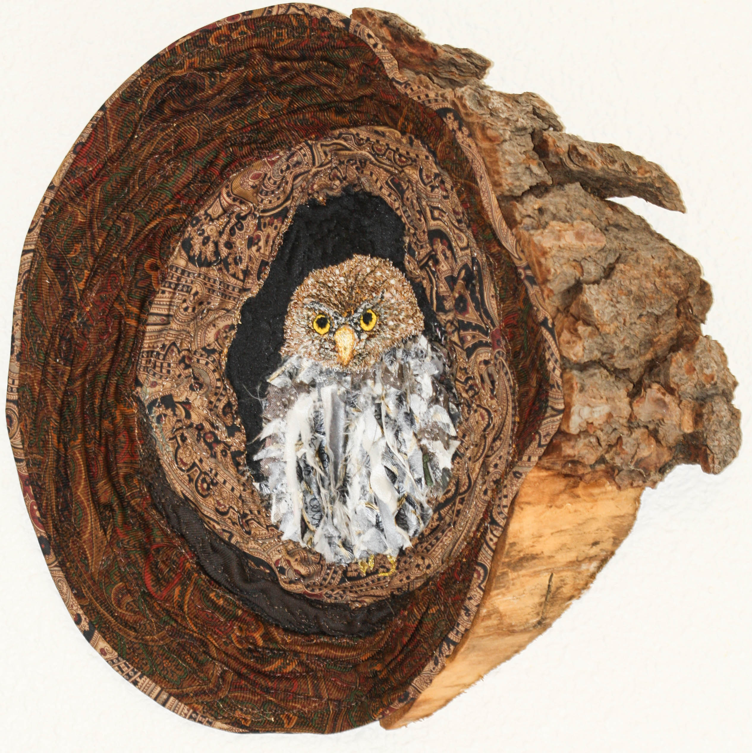 Pygmy Owl in Log